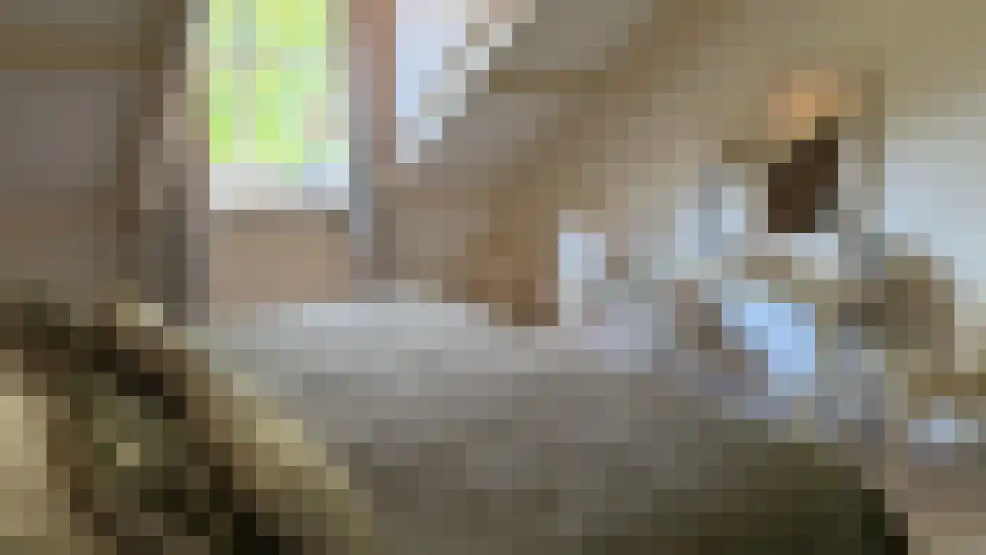 Ter Poorteweg 11 R Koudekerke thumbnail 39