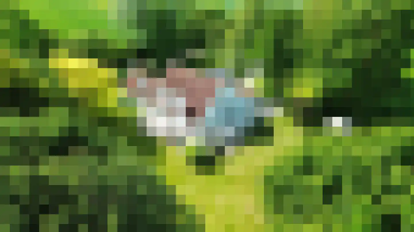 Ter Poorteweg 11 R Koudekerke thumbnail 5