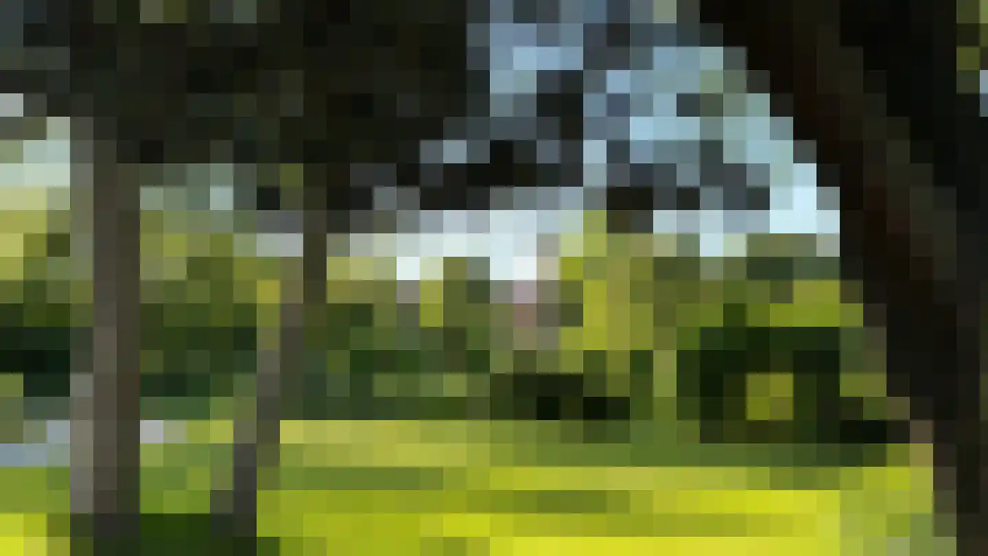 Ter Poorteweg 11 R Koudekerke thumbnail 53