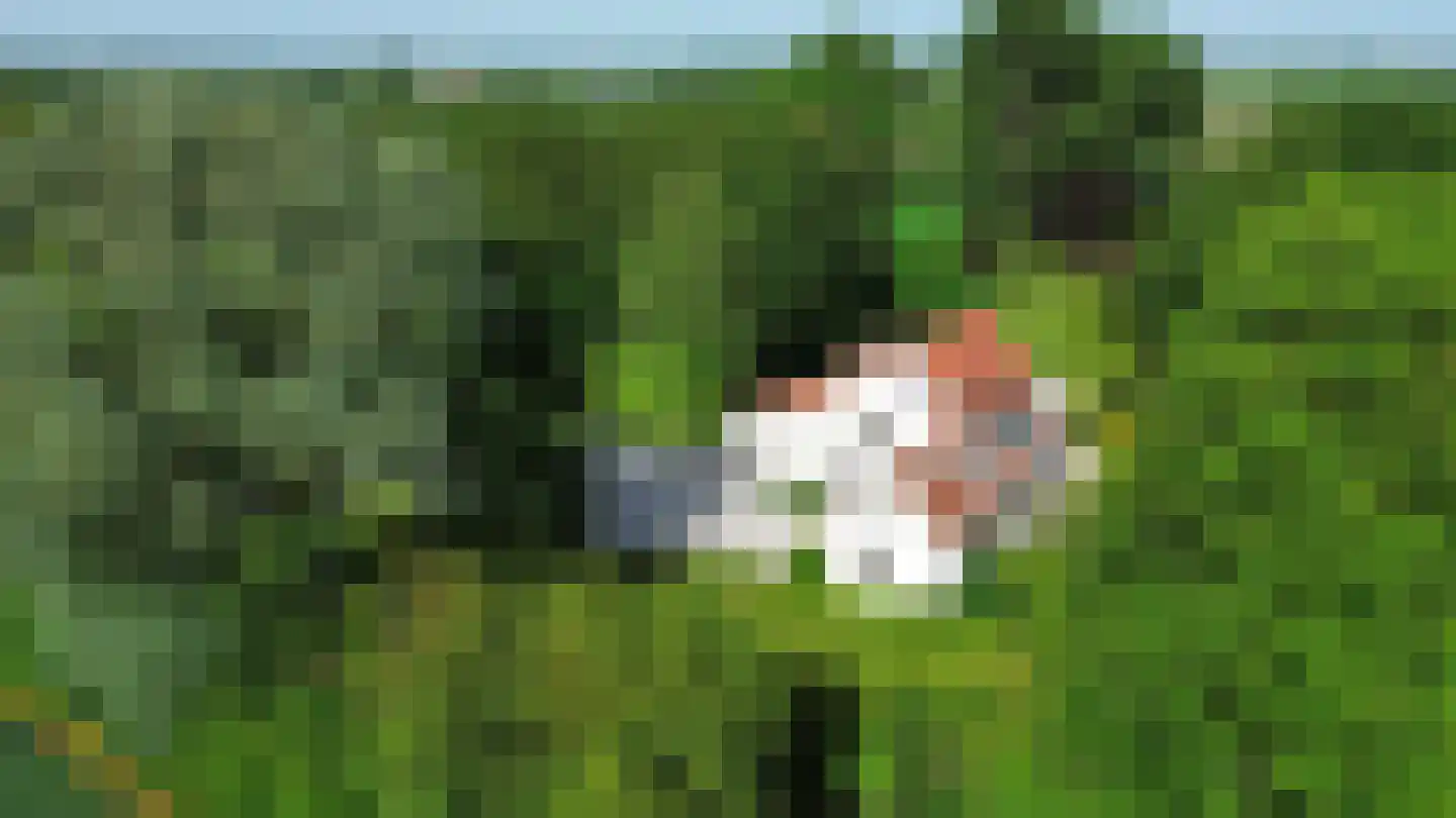 Ter Poorteweg 11 R Koudekerke thumbnail 6