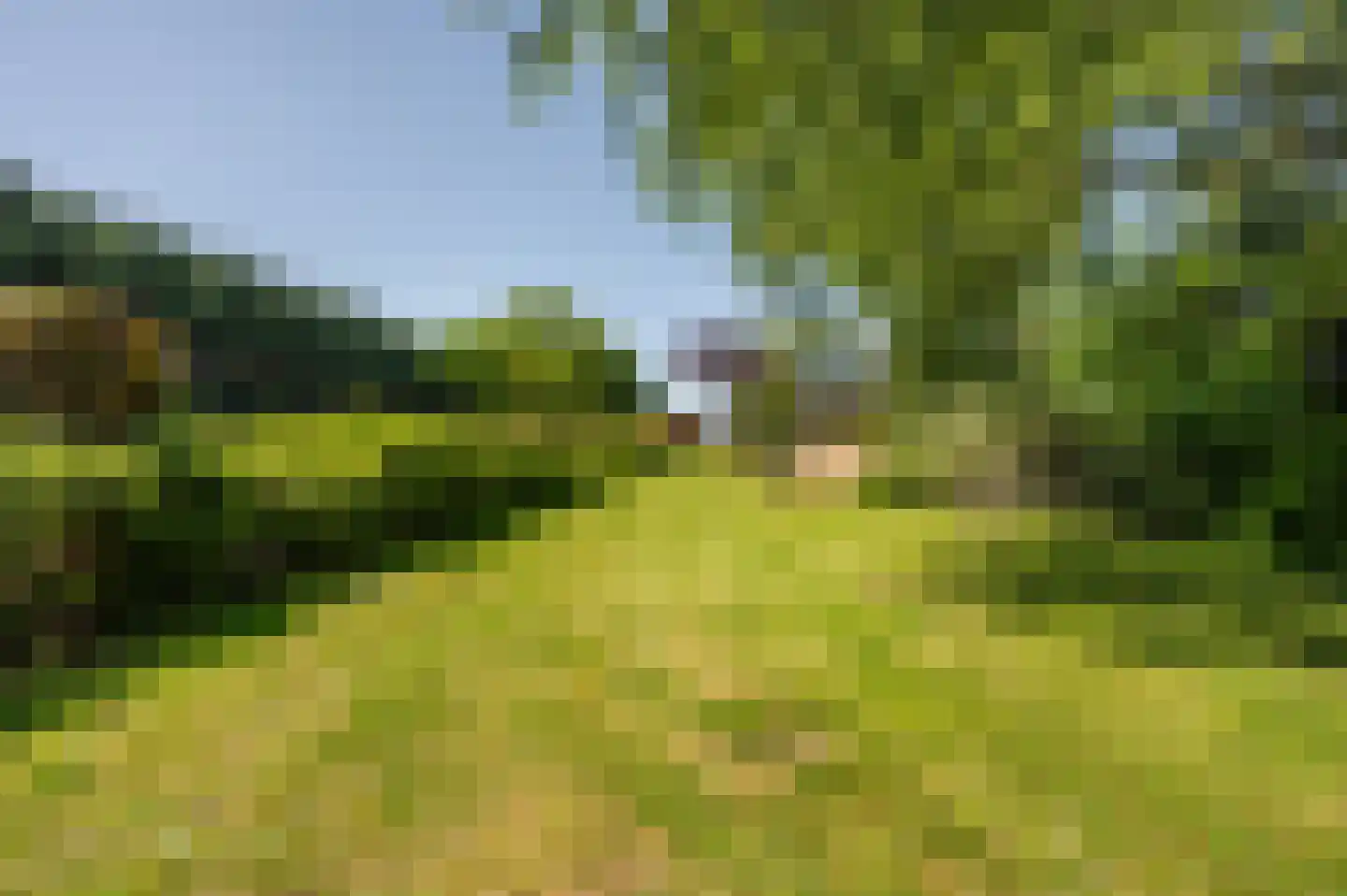 Ter Poorteweg 11 R Koudekerke thumbnail 60