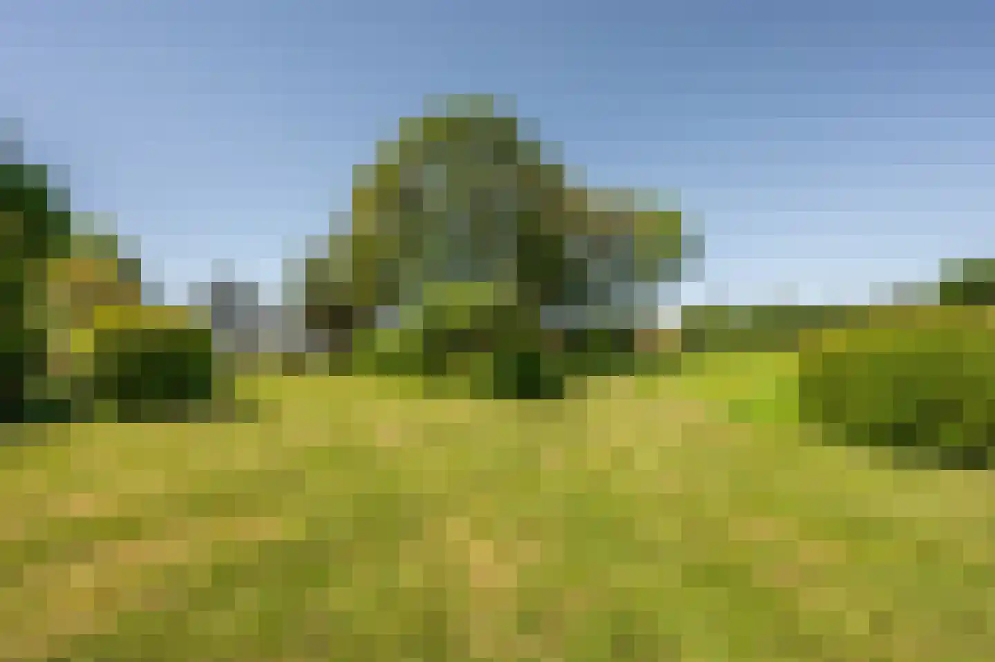 Ter Poorteweg 11 R Koudekerke thumbnail 62