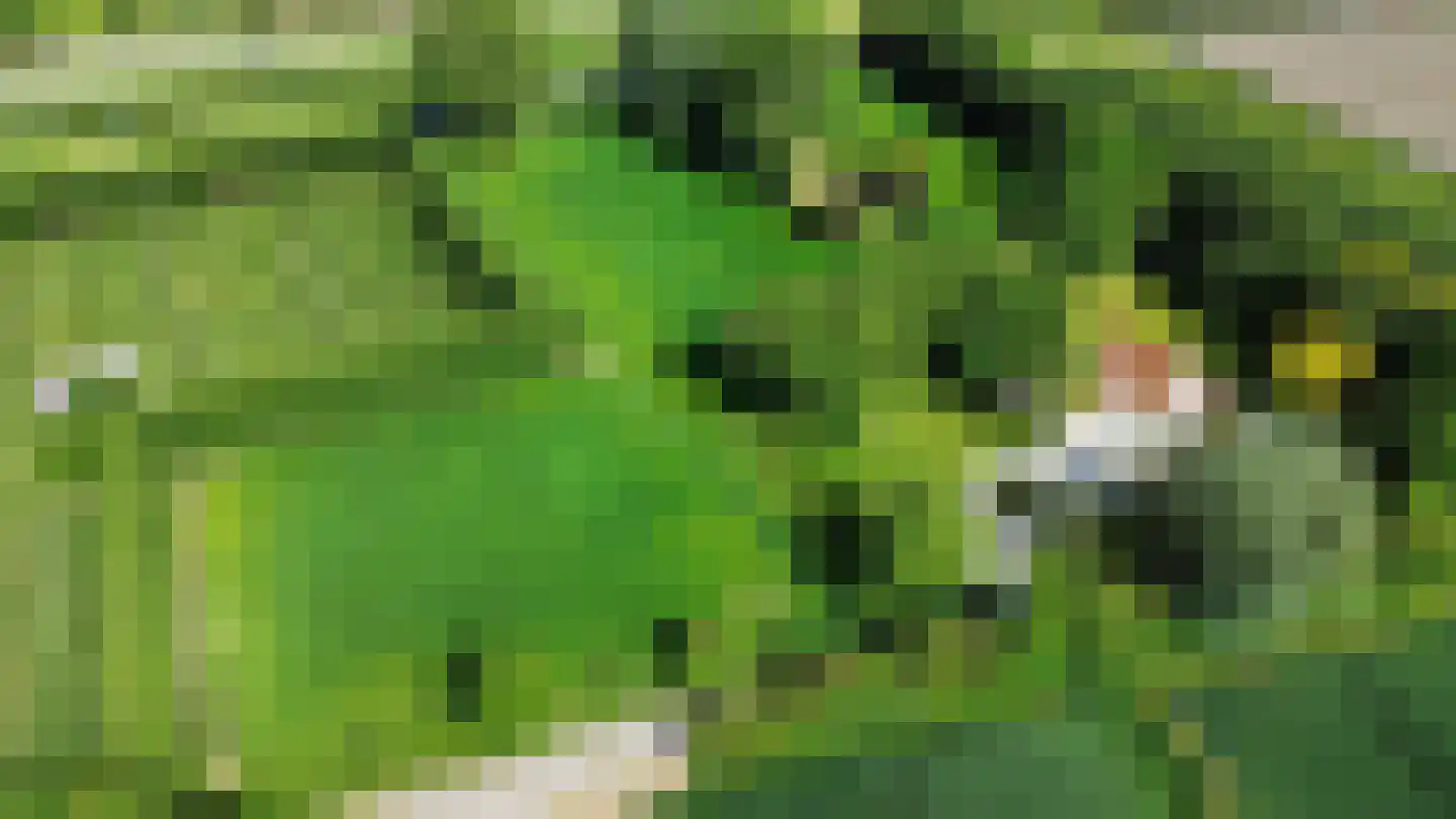 Ter Poorteweg 11 R Koudekerke thumbnail 9