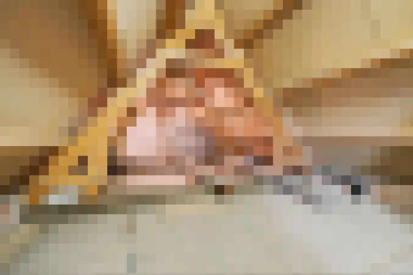 Ter Poorteweg 2 Koudekerke thumbnail 31