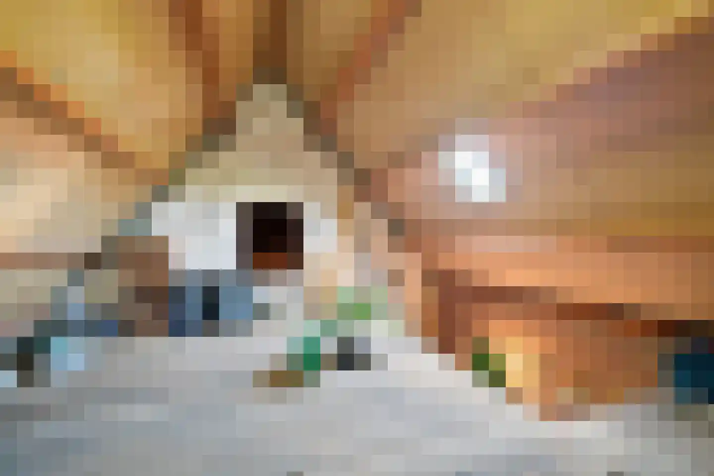 Ter Poorteweg 2 Koudekerke thumbnail 32