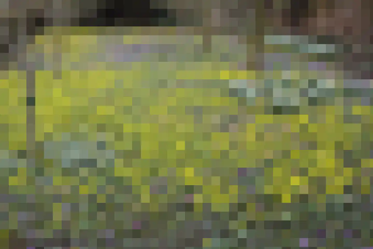 Ter Poorteweg 2 Koudekerke thumbnail 37