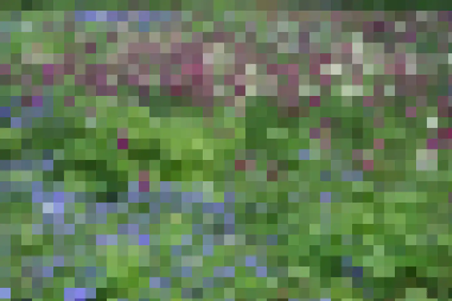 Ter Poorteweg 2 Koudekerke thumbnail 38