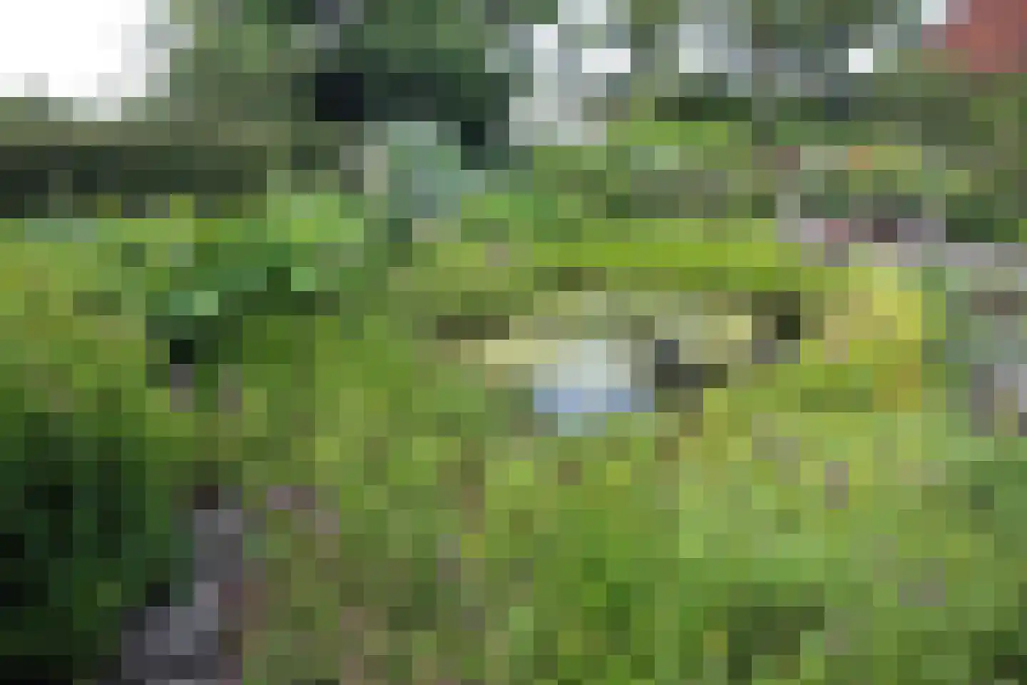 Ter Poorteweg 2 Koudekerke thumbnail 41
