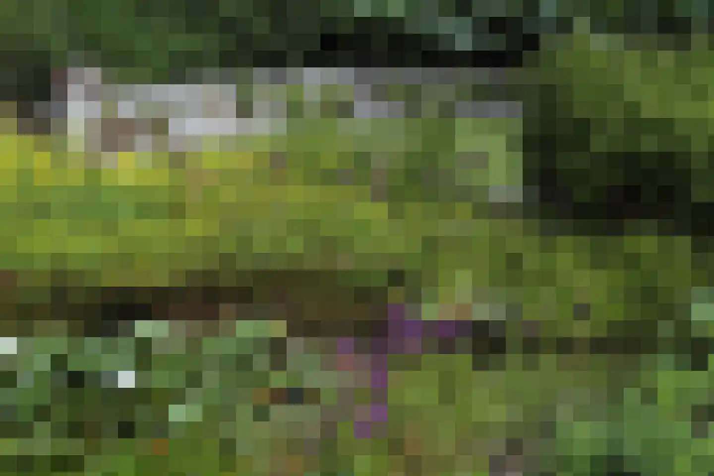 Ter Poorteweg 2 Koudekerke thumbnail 42