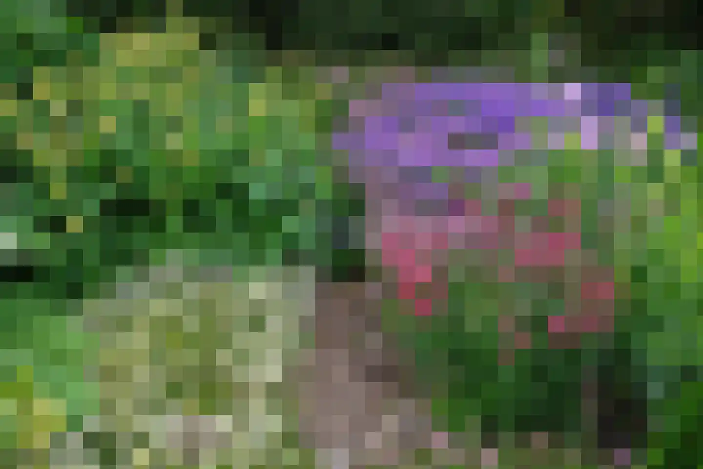 Ter Poorteweg 2 Koudekerke thumbnail 43