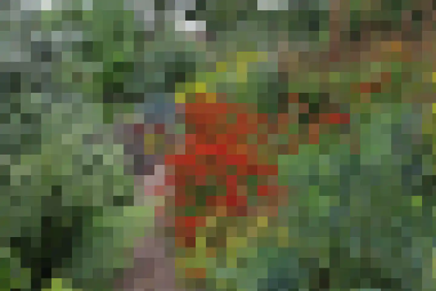 Ter Poorteweg 2 Koudekerke thumbnail 44