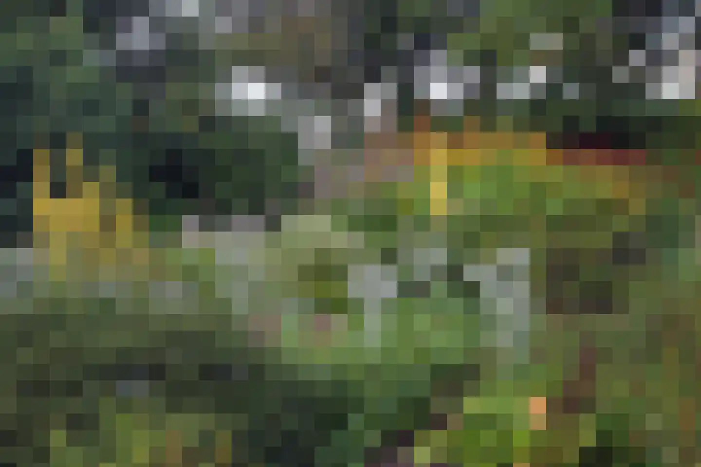 Ter Poorteweg 2 Koudekerke thumbnail 45