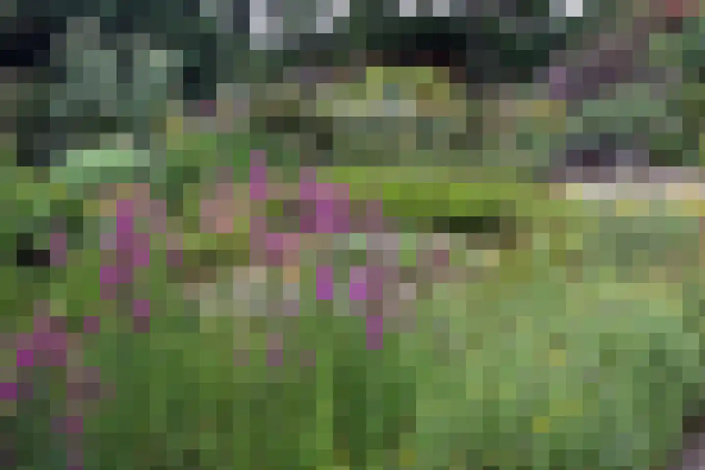 Ter Poorteweg 2 Koudekerke thumbnail 46