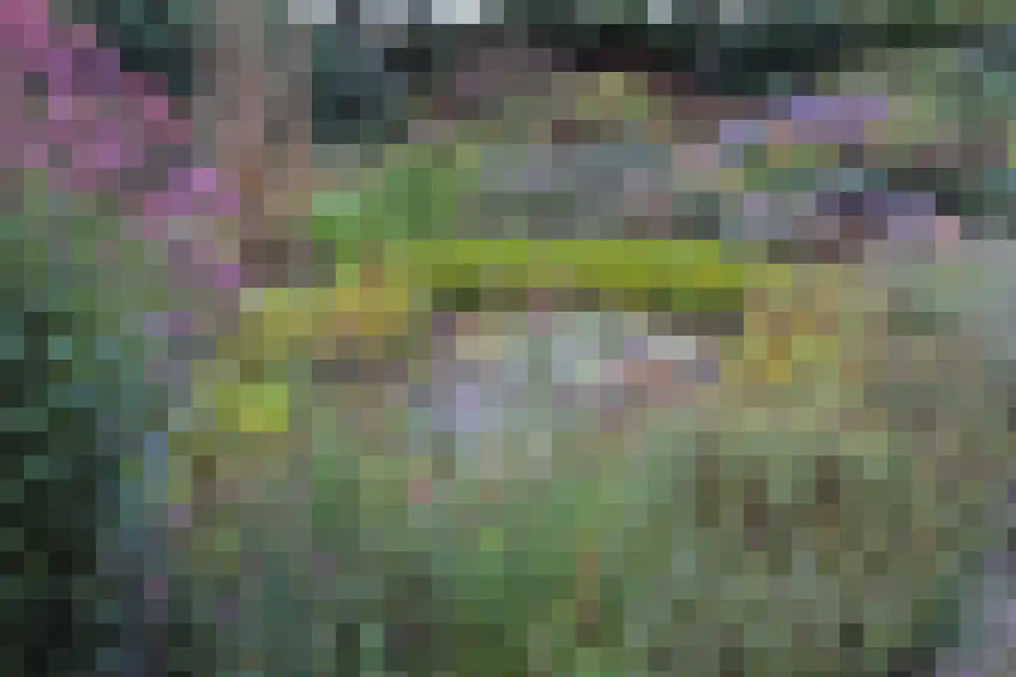 Ter Poorteweg 2 Koudekerke thumbnail 47