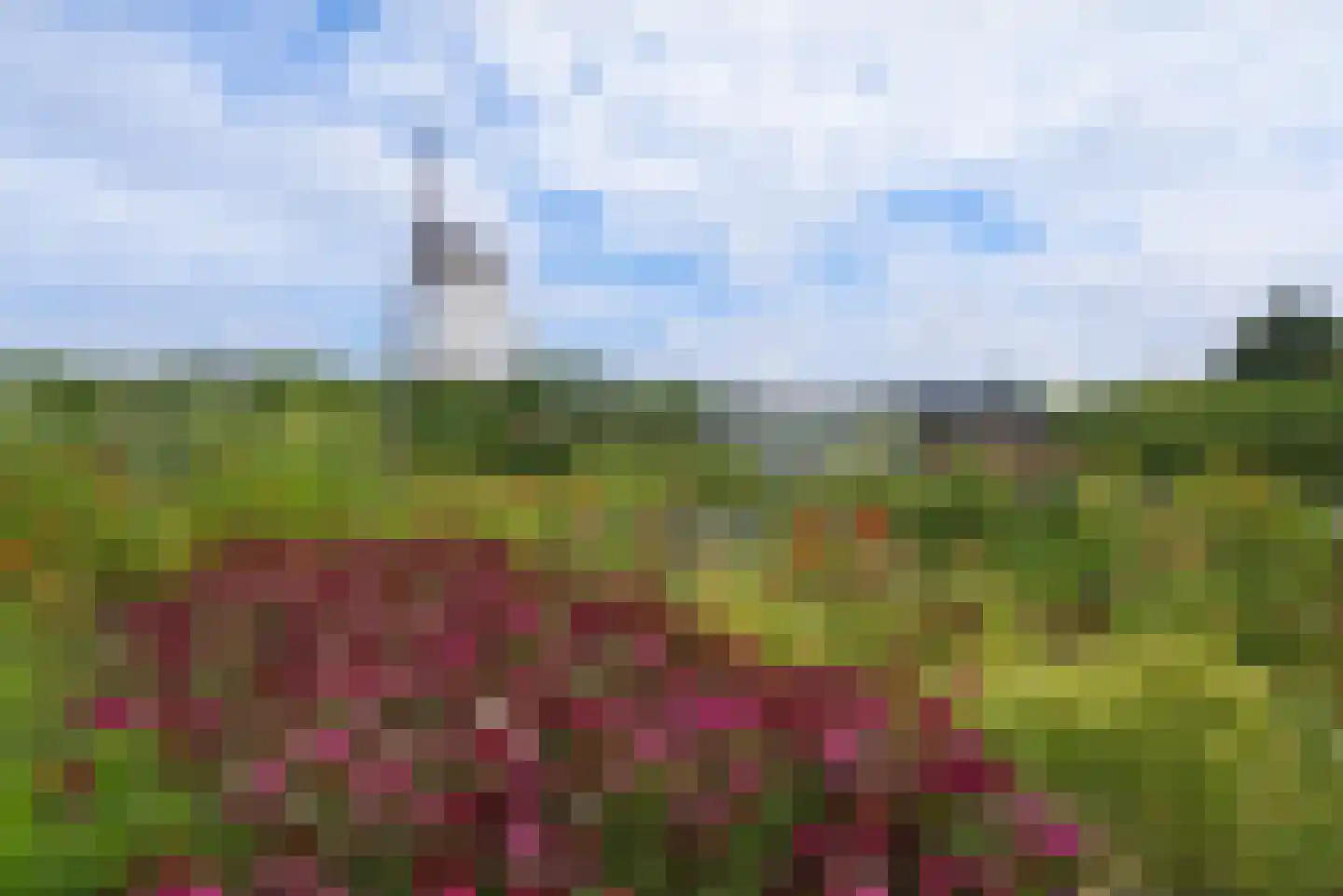 Ter Poorteweg 2 Koudekerke thumbnail 49