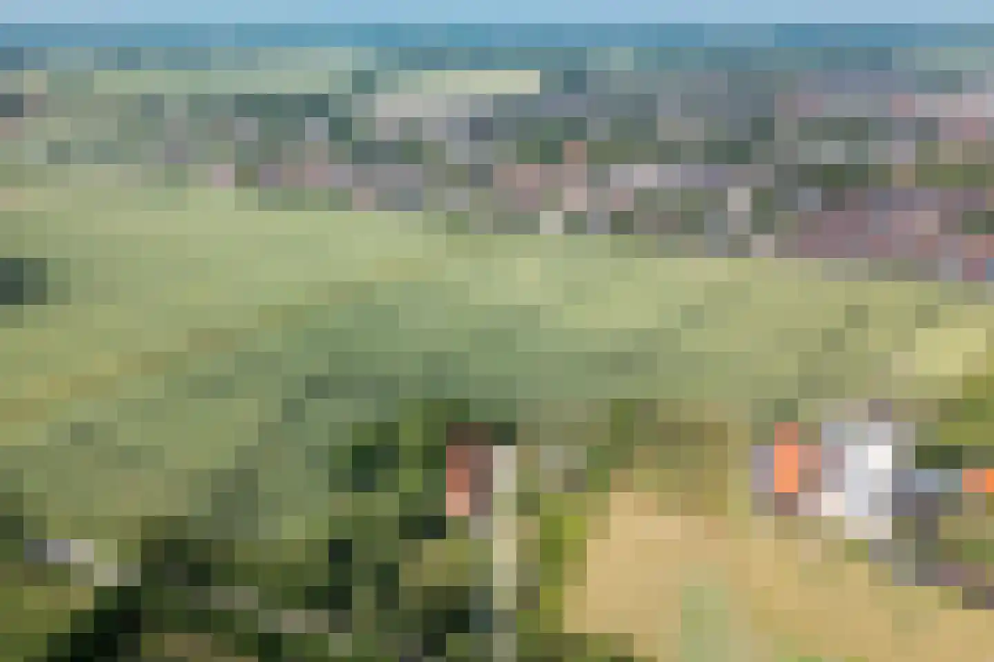 Ter Poorteweg 2 Koudekerke thumbnail 56