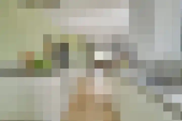 Ter Veenlaan 10 Hoofddorp thumbnail 11