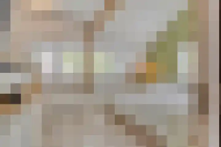 Ter Veenlaan 10 Hoofddorp thumbnail 16