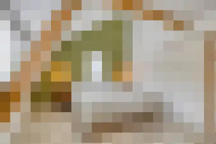 Ter Veenlaan 10 Hoofddorp thumbnail 17
