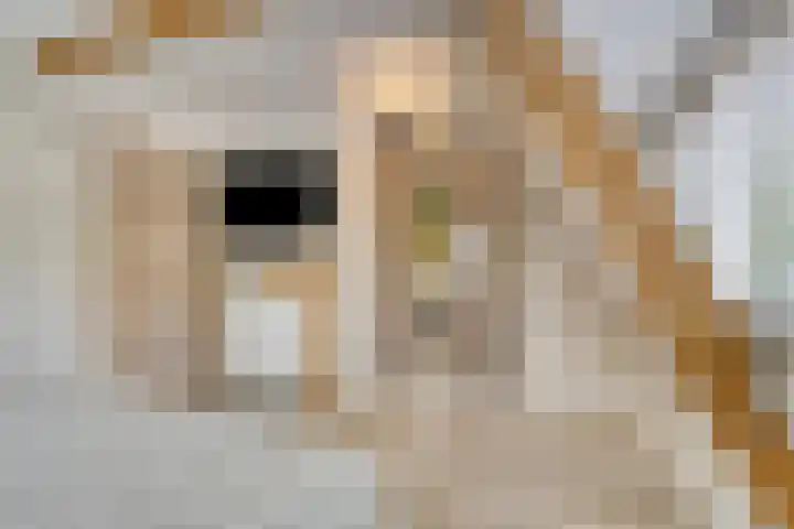 Ter Veenlaan 10 Hoofddorp thumbnail 18