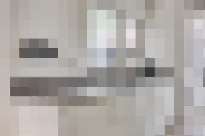 Ter Veenlaan 10 Hoofddorp thumbnail 9