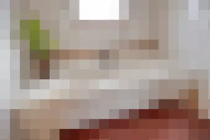 Ter Vorseldreef 10 Helmond thumbnail 38