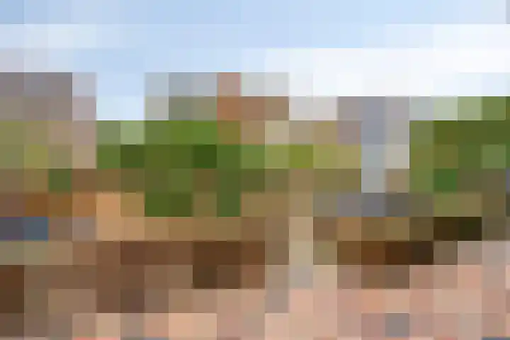 Ter Vorseldreef 10 Helmond thumbnail 66