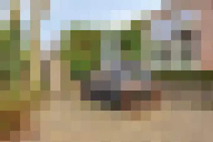 Ter Vorseldreef 10 Helmond thumbnail 68