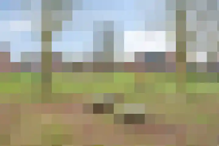 Ter Vorseldreef 10 Helmond thumbnail 71