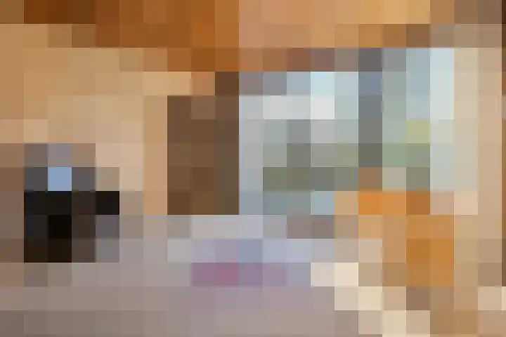 Ter Wadding 14 Almelo thumbnail 11