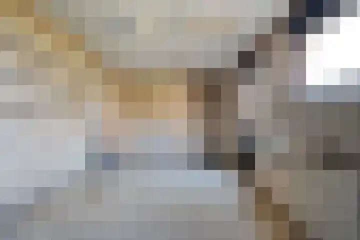 Ter Wadding 14 Almelo thumbnail 24