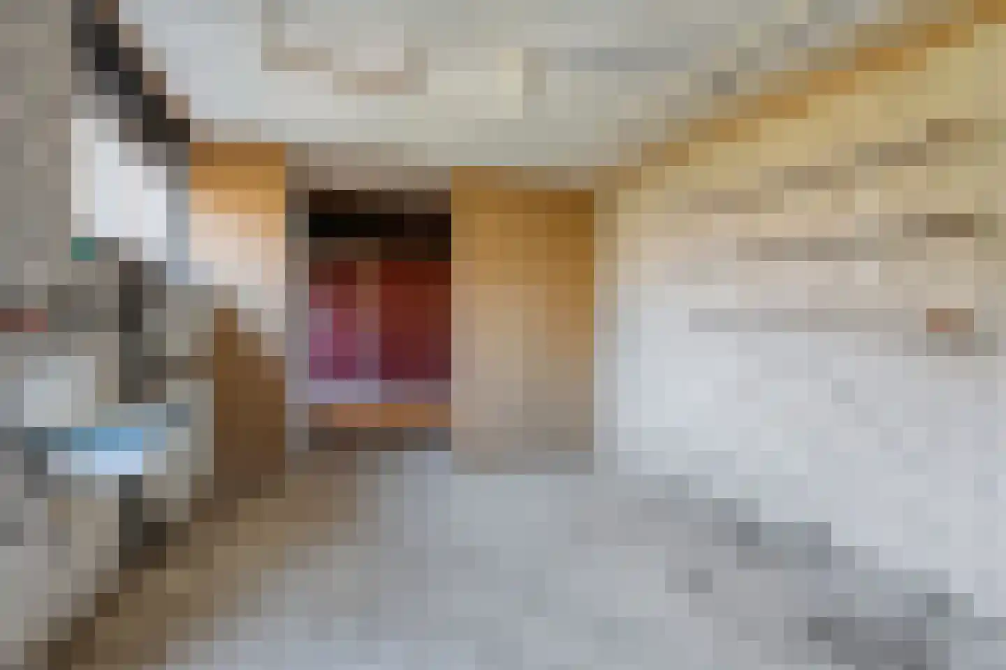 Ter Wadding 14 Almelo thumbnail 25