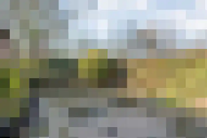Ter Wadding 14 Almelo thumbnail 28