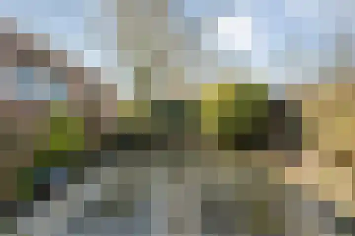 Ter Wadding 14 Almelo thumbnail 29