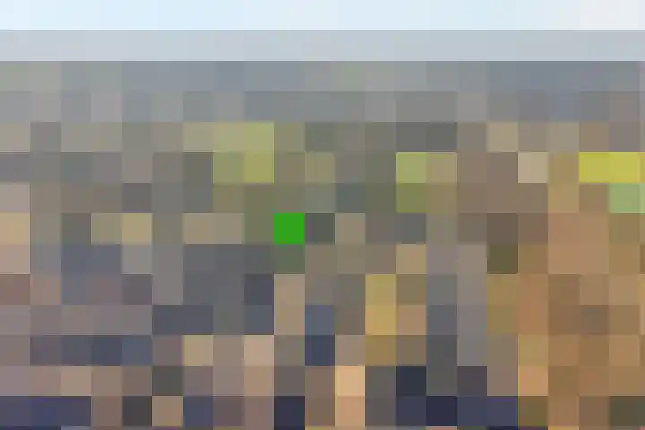 Ter Wadding 14 Almelo thumbnail 30