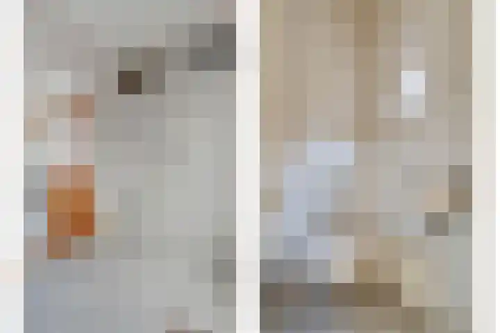 Ter Wadding 14 Almelo thumbnail 7