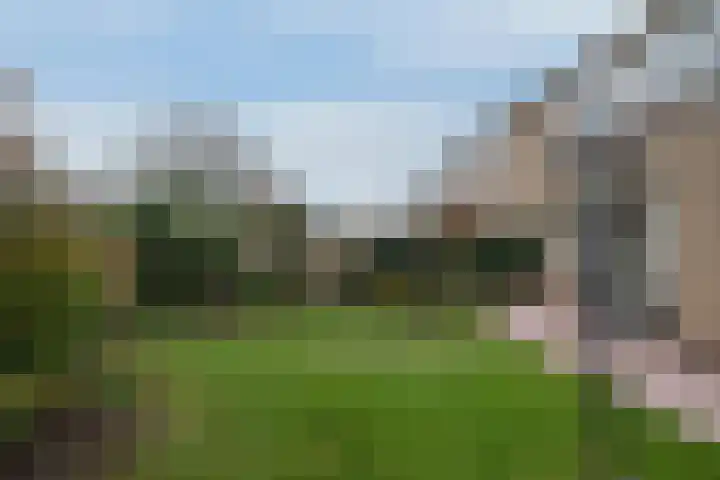 Ter Wadding 22 Almelo thumbnail 10