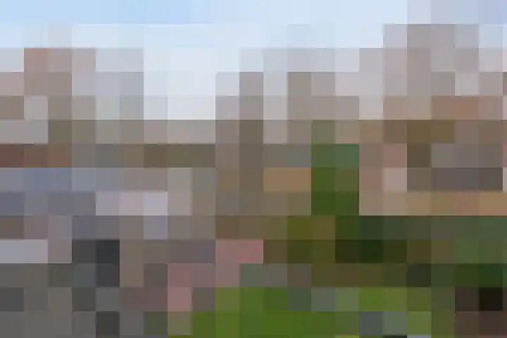 Ter Wadding 22 Almelo thumbnail 13