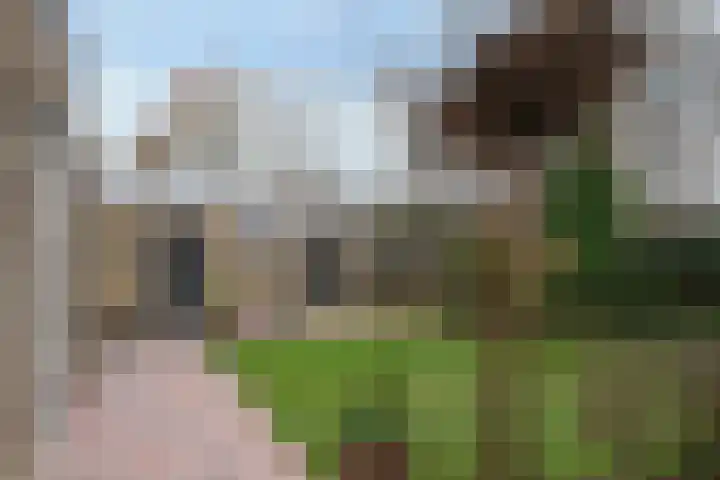 Ter Wadding 22 Almelo thumbnail 4