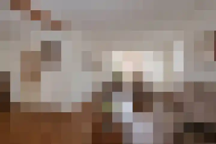 Ter Wadding 22 Almelo thumbnail 5