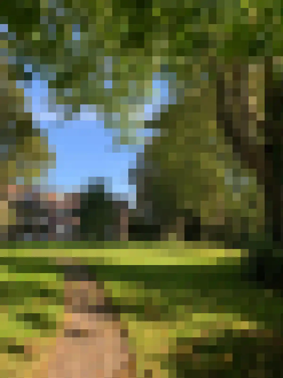 Ter Wallestraat 7 Biervliet thumbnail 4