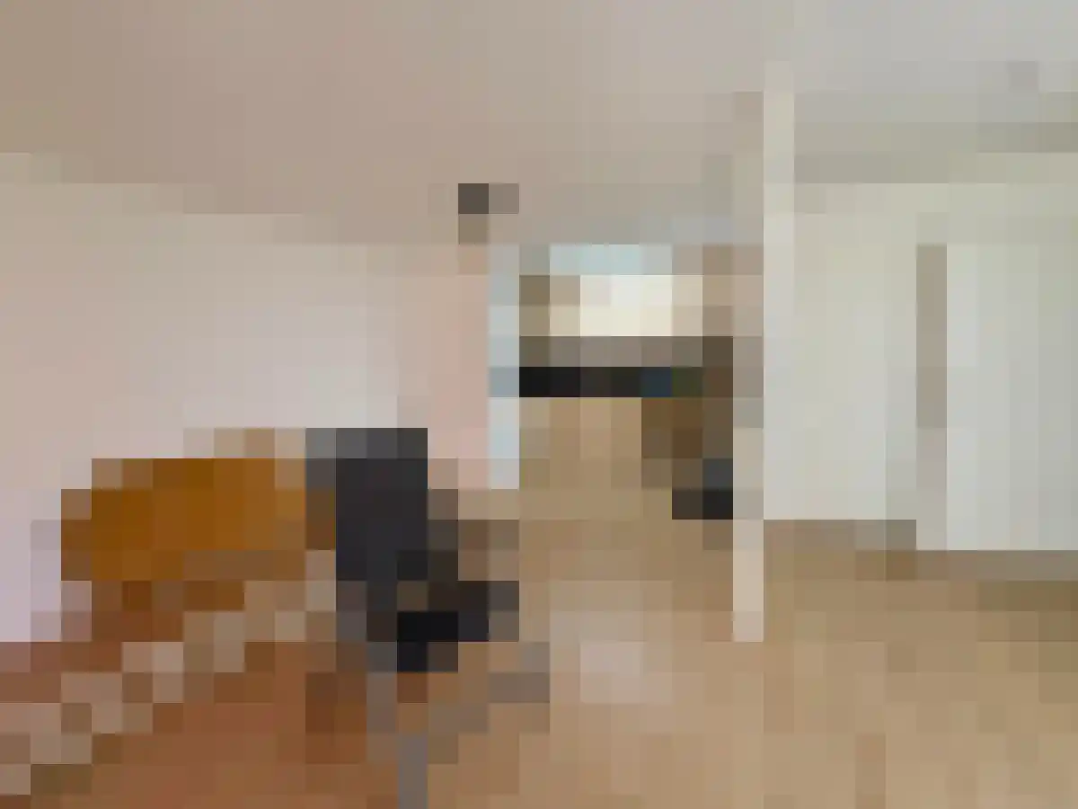 Ter Wallestraat 7 Biervliet thumbnail 5