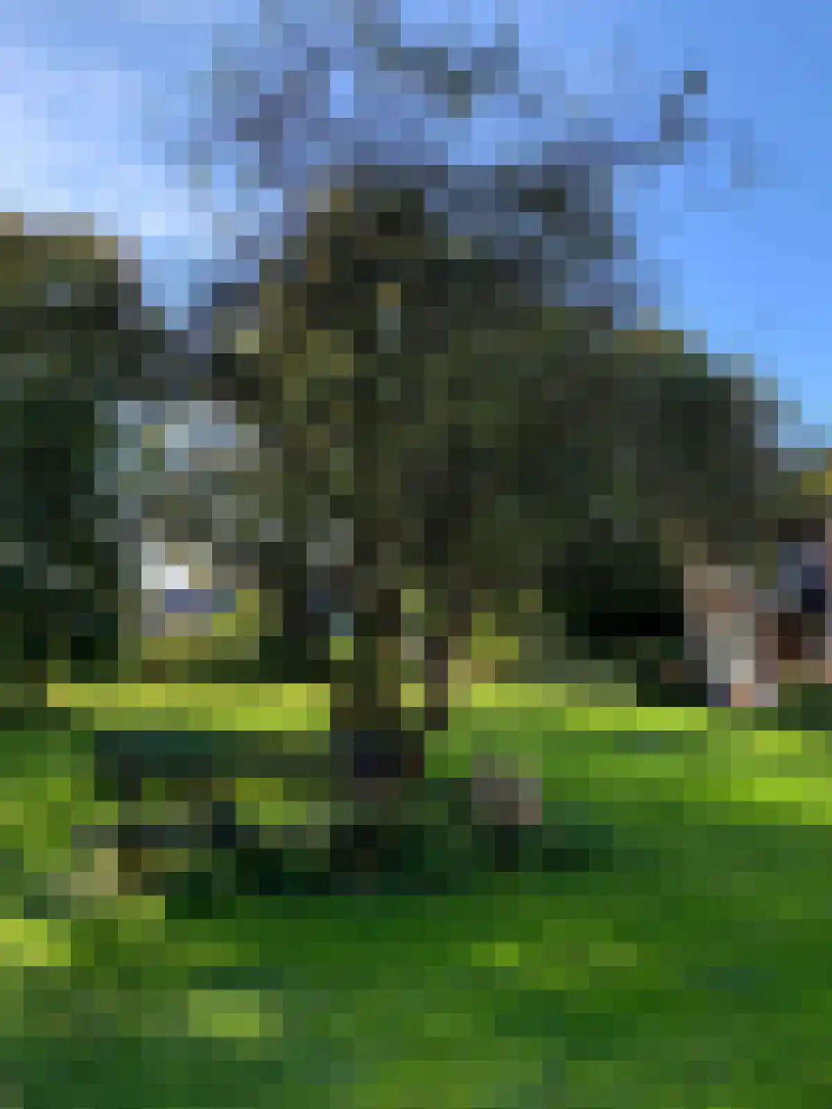 Ter Wallestraat 7 Biervliet thumbnail 5