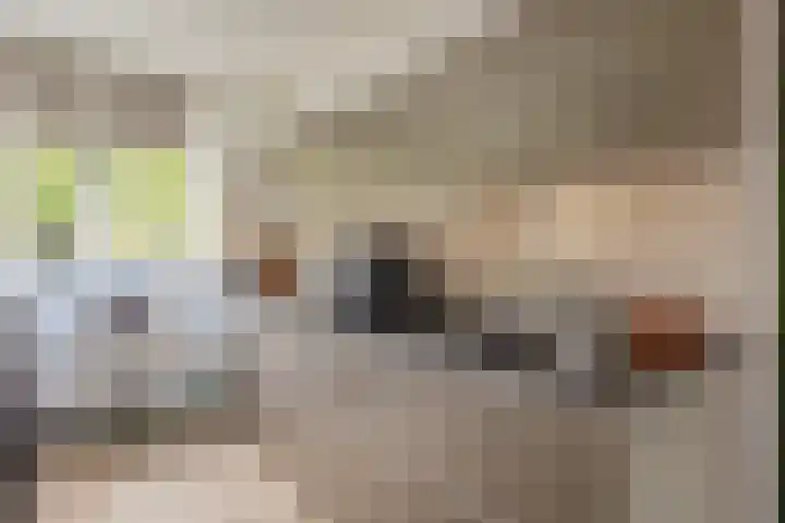 Ter Warden 34 Nuenen thumbnail 17