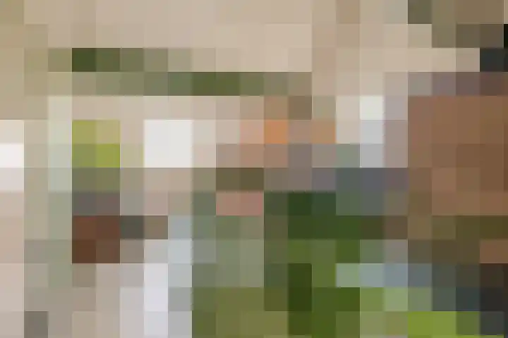 Ter Warden 34 Nuenen thumbnail 26