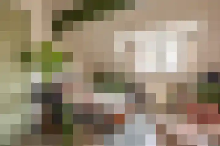 Ter Warden 34 Nuenen thumbnail 30
