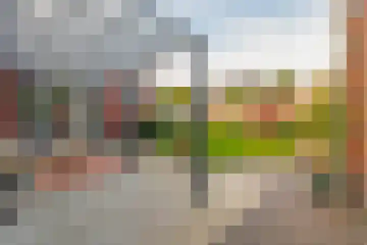 Ter Warden 34 Nuenen thumbnail 31