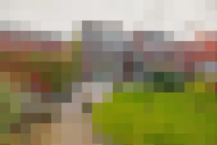 Ter Warden 34 Nuenen thumbnail 32