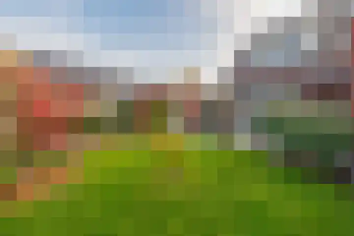 Ter Warden 34 Nuenen thumbnail 33