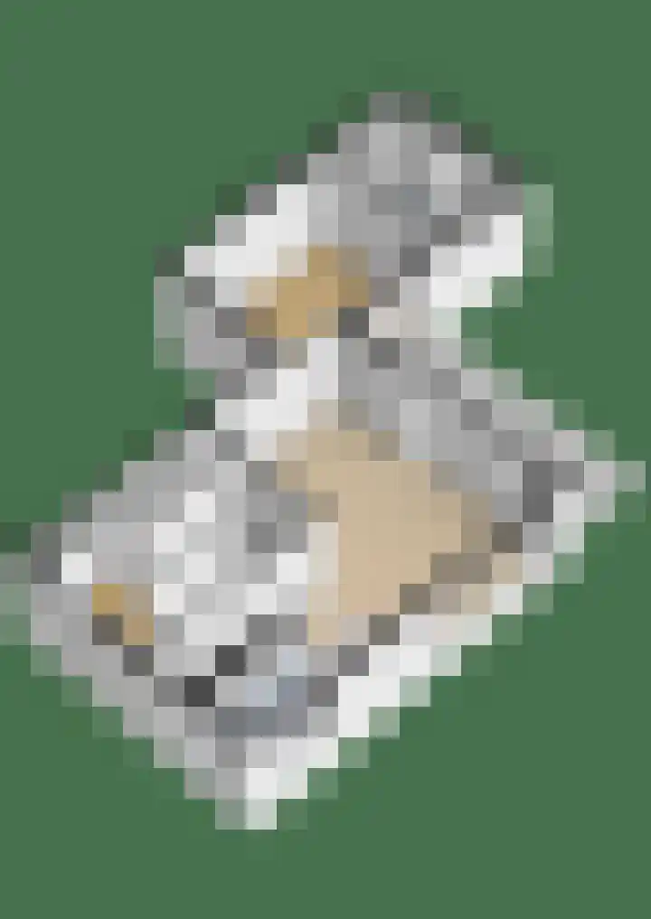 Ter Warden 34 Nuenen thumbnail 36